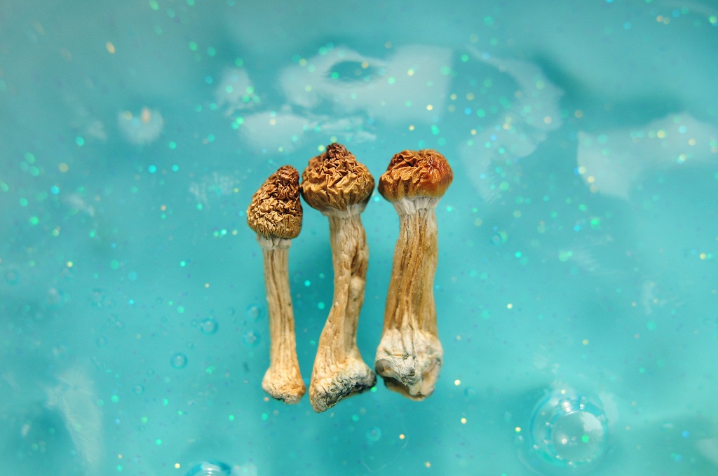 Navigating Life’s Storms: Psilocybin Ceremonies as Beacons of Healing