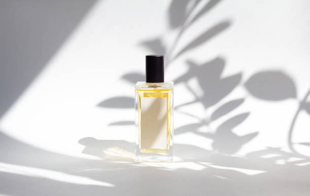 Capturing Grace: Discover Esnc.’s Finest Perfumes for Women