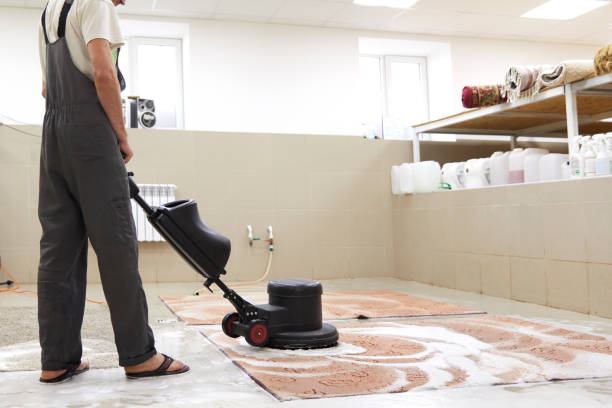 Unmasking the Carpet Culprits: The Whys and Hows of Stain Removal