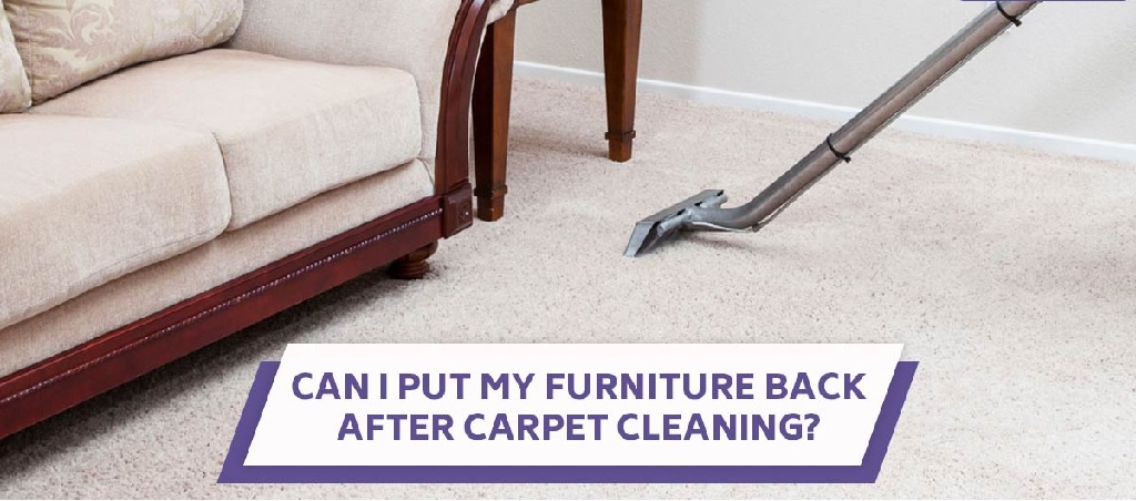 Northern Beaches Guide to Upholstery Cleaners