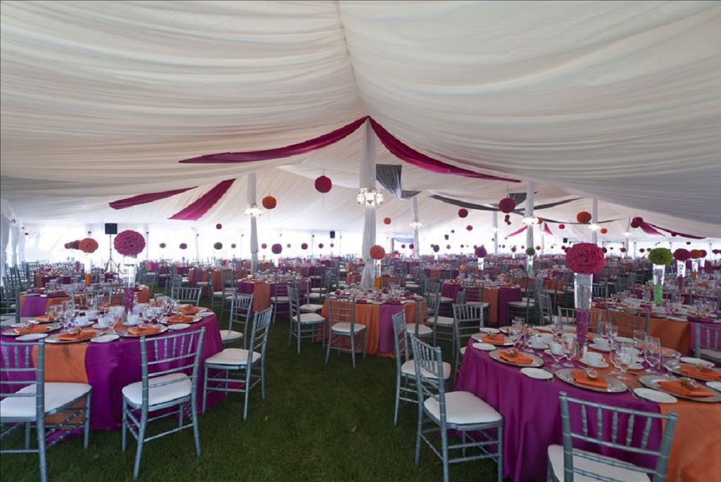The Ultimate Guide to Party Rental Essentials