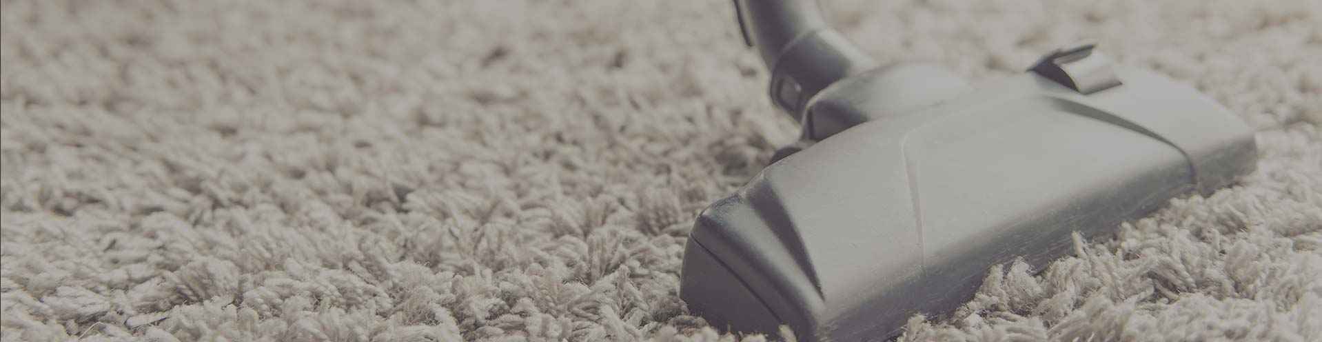 Safe and Effective North Shore Pet-Friendly Carpet Cleaning