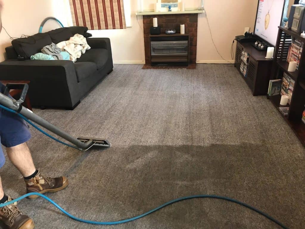 Three Standout Carpet Cleaning Services in North Shore: A Review