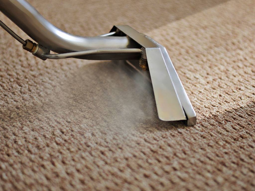 Banishing Pet Odors: Expert Carpet Cleaning in Northern Beaches