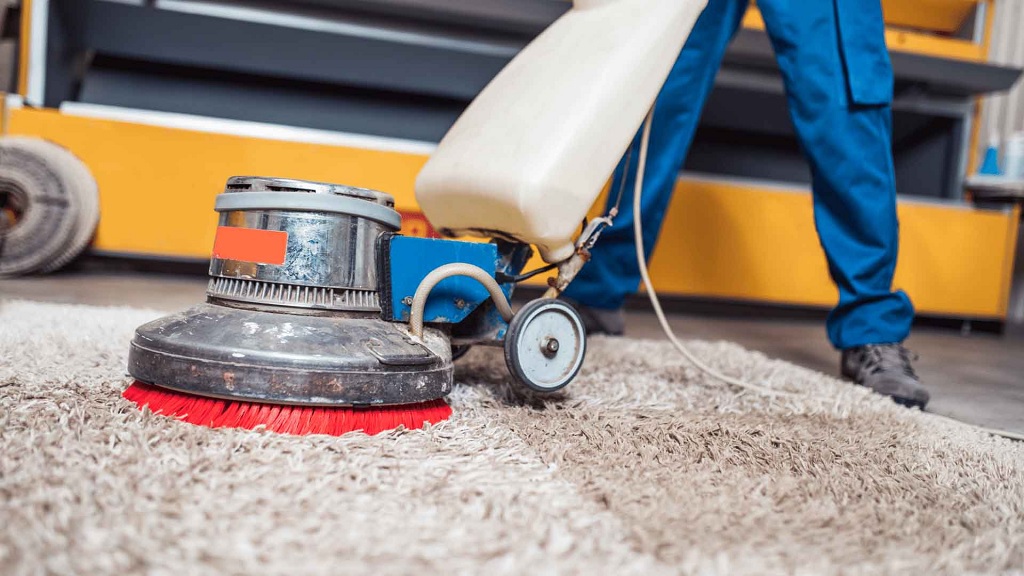 Eco-Friendly Carpet Cleaning: The Top Choice in North Shore