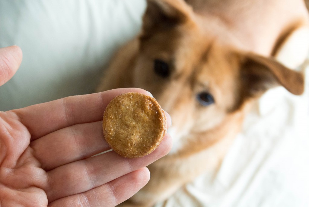 Pawsitively Organic: Why Barkalicious Treats Make Tails Wag!