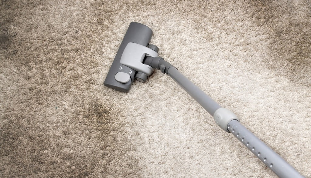 Battle Tested Stain Remorse: Northern Beaches Guide for Red Wine, Pet Accidents, and Mud Mishaps