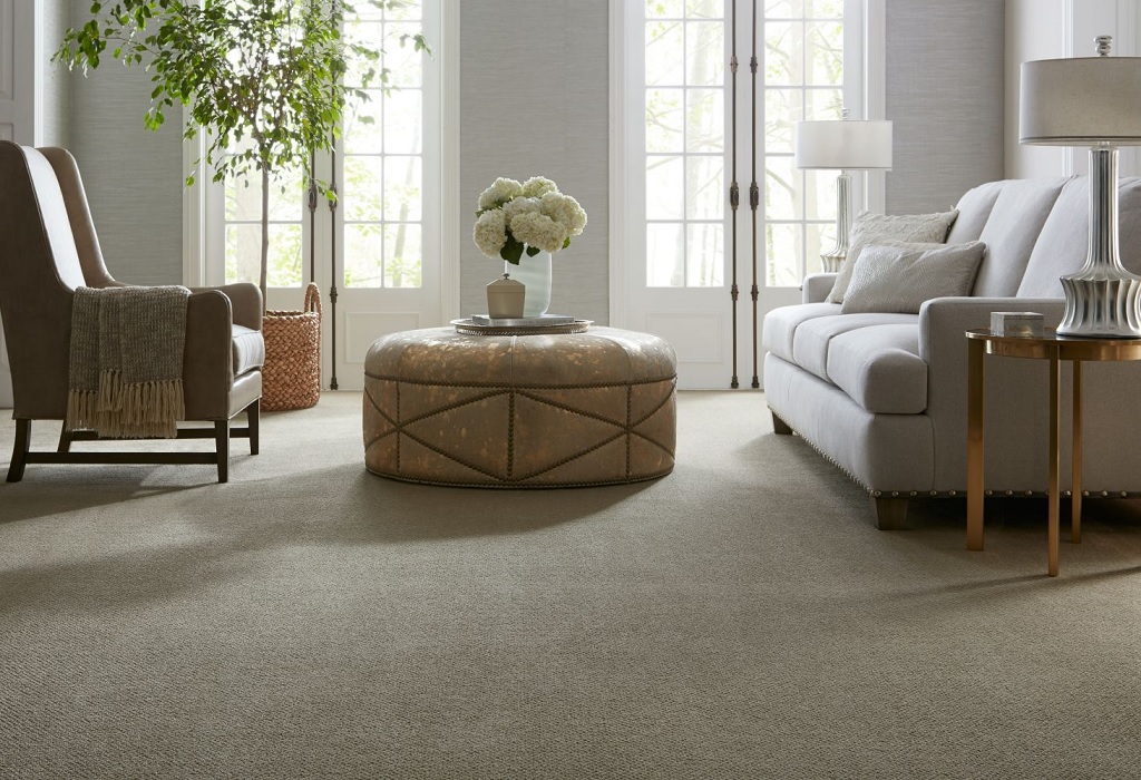 The Incredible Benefits of Carpet Cleaning Northern Beaches