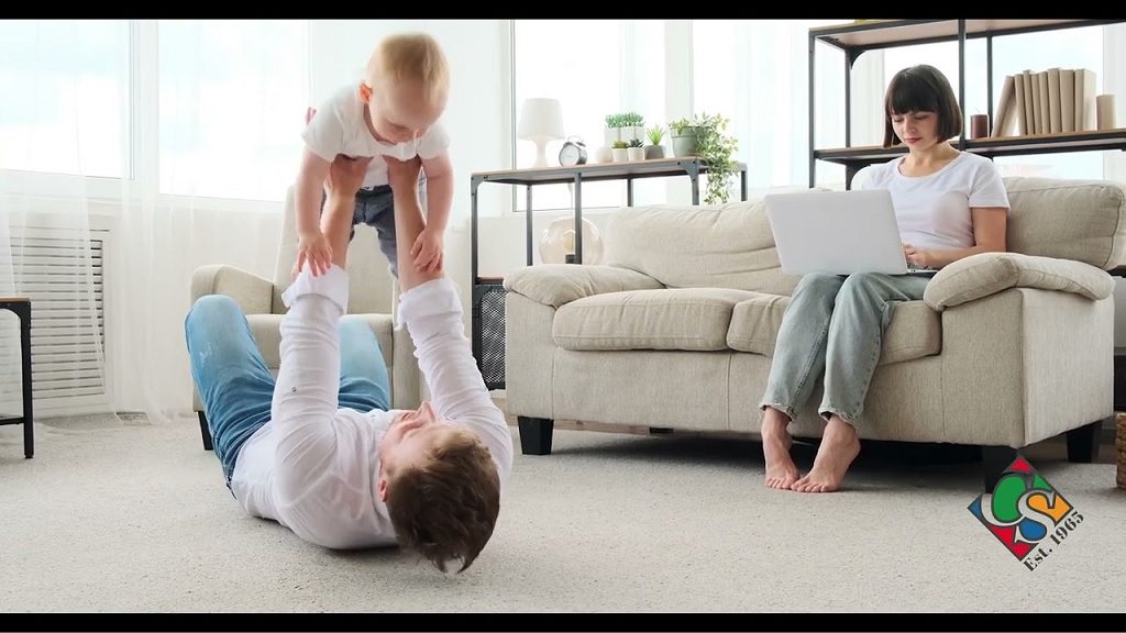 Upholstery Cleaning Northern Beaches: Stain Fix Tricks Stylist Vows