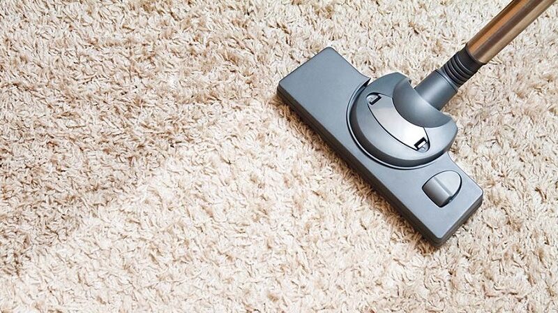 Best Carpet Cleaning North Shore Solutions for Pet Owners