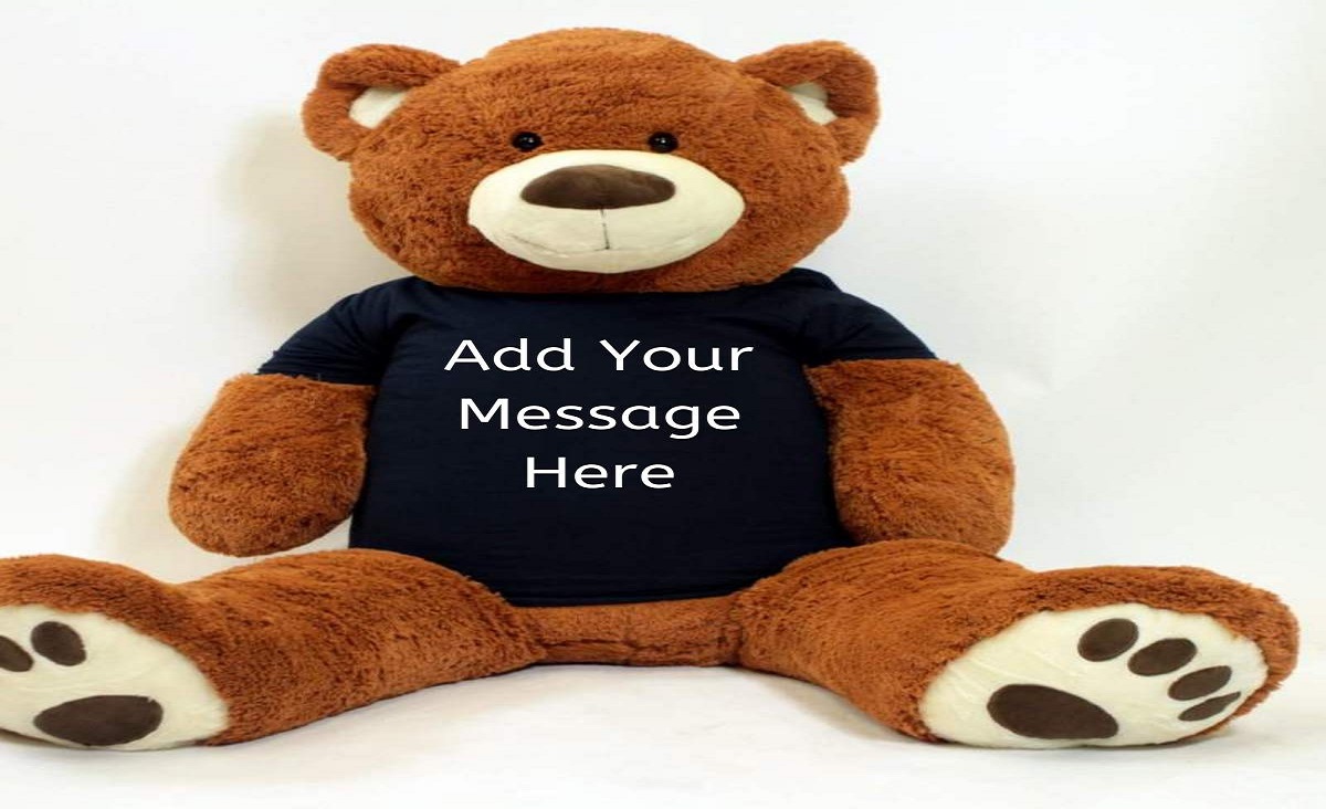 Big Teddy Bear That Make Gifting Feel Warmer